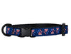 Collar para gato, 8" x 10" por 1/2" de ancho, de la marca RC Pet Products - BESTMASCOTA.COM
