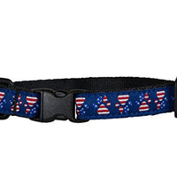 Collar para gato, 8" x 10" por 1/2" de ancho, de la marca RC Pet Products - BESTMASCOTA.COM