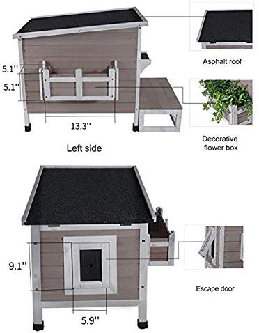 Rockever - Refugio para gatos al aire libre con puerta de escape,  resistente a la lluvia, casa para gatitos