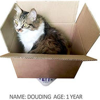 Báscula digital para mascotas y cocina para cachorros recién nacidos o gatitos con un tazón gratis - BESTMASCOTA.COM