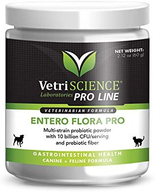 vetriscience 062548 entero Flora Pro polvo - BESTMASCOTA.COM