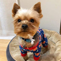 Pijama de perro CuteBone Lindo Gato Ropa de mascota Pjs Onesie - BESTMASCOTA.COM