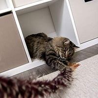 Petlinks Interactive Wand and Launcher Cat Toys - BESTMASCOTA.COM