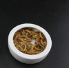 OMEM Worm Dish Mini Reptile Food Bowl Ceramics Made - BESTMASCOTA.COM