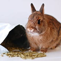 Pellets de comida de conejo para mascotas pequeñas - BESTMASCOTA.COM