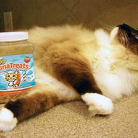 TunaTreats Premium Bonito Flakes for Cats - BESTMASCOTA.COM