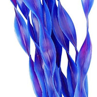 MyLifeUNIT - Plantas de agua de algas artificiales para acuario, 10 unidades - BESTMASCOTA.COM