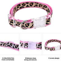 PAWZ Road Leopard Pet Leash Collar Arnés Set - BESTMASCOTA.COM