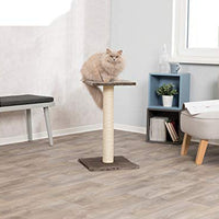 Trixie Pet Espejo Scratching Post - BESTMASCOTA.COM