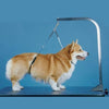 Downtown Pet Supply - Soporte plegable para perros pequeños, medianos y grandes, S-M - BESTMASCOTA.COM