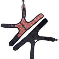 BINGPET Escape Proof Cat Harness - Adjustable Vest and Leash Set - BESTMASCOTA.COM