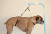 Downtown Pet Supply - Soporte plegable para perros pequeños, medianos y grandes, S-M - BESTMASCOTA.COM