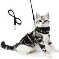 Unihubys - Arnés para gato con correa ajustable, material de malla suave con fuerte anilla en D para mayor tranquilidad, ideal para caminar - BESTMASCOTA.COM