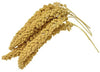 Birds LOVE Spray Millet Non-GMO for Birds Cockatiel Lovebird Parakeet Finch Canary All Parrots Healthy Treat - BESTMASCOTA.COM