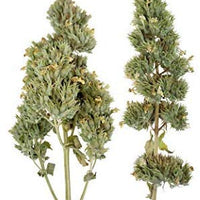 Meowijuana Catnip Buds pasión púrpura - BESTMASCOTA.COM