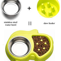 Ordermore Slow Feeder Bowl for Small Dogs & Cats - BESTMASCOTA.COM