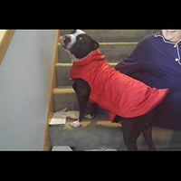 PETCEE - Chaqueta impermeable para perro, forro polar suave para invierno, deportes al aire libre, chaleco para mascotas, traje de nieve, ropa de doble superficie - BESTMASCOTA.COM