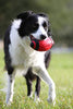 Juguete para perro Nerf de goma - BESTMASCOTA.COM