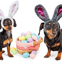 RYPET - Juego de 2 orejas de conejo de Pascua para perros y gatos pequeños a grandes - BESTMASCOTA.COM