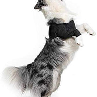 Suitical Recovery - Funda para perro - BESTMASCOTA.COM