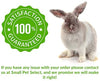 Small Pet Select Orchard Grass Hay Pet Food - BESTMASCOTA.COM