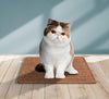 LsaiFater - Alfombra rascadora para gatos, sisal natural, protege alfombras y sofás - BESTMASCOTA.COM