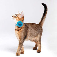 PUPTECK - Collar de gato con accesorios de flores extraíbles y campana – ajustable, desprendimiento - BESTMASCOTA.COM