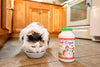 En Clover – Fresco Resumen Daily las enzimas digestivas & prebióticos para gatos - BESTMASCOTA.COM