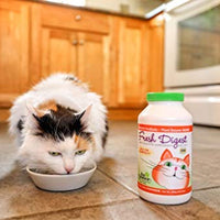 En Clover – Fresco Resumen Daily las enzimas digestivas & prebióticos para gatos - BESTMASCOTA.COM