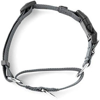 Collar de entrenamiento de nailon Mighty Paw Martingale. Nuestro collar de zapatillas de entrenamiento aprobado limitado. Collar de cincha modificado para una fuerza controlada para un entrenamiento óptimo. Costuras reflectantes para mantener a tu perro s - BESTMASCOTA.COM