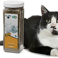 Our Pets Premium North-American Grown Catnip, 4 Ounces Each - BESTMASCOTA.COM