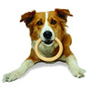 Nylabone Dura Masticar Poder Masticar Perro Juguete - BESTMASCOTA.COM