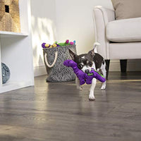 goDog Just for Me Bruto with Chew Guard Technology Plush Dog Toy, Purple - BESTMASCOTA.COM