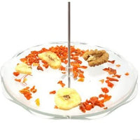 Difunisea Parrot Foraging Systems Foraging Wheel -Hapaus for Parrot Macaw African Greys Budgies Parakeet Cockatiel Conure Cage Toy - BESTMASCOTA.COM