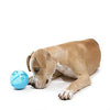 OurPets IQ Treat Ball Interactive Food Dispensing Dog Toy (Colors May Vary) - BESTMASCOTA.COM