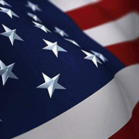 Equisilver Vet - Spray de herida formulado para perros y gatos | Alivio para puntos calientes, infecciones de la piel, piel seca irritada | Curación rápida todo natural y no tóxico | Fabricado en Estados Unidos - BESTMASCOTA.COM