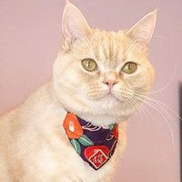 Necoichi Kimono - Collar de bandana para gato - BESTMASCOTA.COM