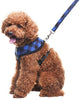 PUPTECK Arnés de malla suave para perro con correa – Chaleco de paseo acolchado a cuadros ajustable para cachorro sin arneses – Chaleco para mascotas - BESTMASCOTA.COM