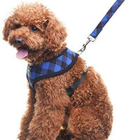 PUPTECK Arnés de malla suave para perro con correa – Chaleco de paseo acolchado a cuadros ajustable para cachorro sin arneses – Chaleco para mascotas - BESTMASCOTA.COM