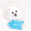 ZippyPaws Squeakie Pad - Peluche para perro - BESTMASCOTA.COM