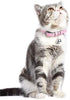 Lumimi - Collar para gato, collar para cachorro, piel auténtica, longitud ajustable, fácil de limpiar, duradero y seguro, incluye cascabel y perforador, multicolor - BESTMASCOTA.COM