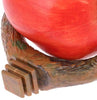 Pxlucky - Comedero para pájaros, cuenco para comida de pájaros, taza para loros pequeños, cacatúas, hámster, pequeño animal, recipiente para agua potable para pájaros, jaula de accesorios - BESTMASCOTA.COM