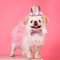 Legendog - Accesorio para fiesta de cumpleaños de perro, sombrero de cumpleaños con letras, falda tutú para perro, pajarita, lindo vestido de cumpleaños para perro, disfraz de cumpleaños para perros pequeños - BESTMASCOTA.COM
