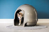 Petmate Booda Dome Clean Step Cat Litter Box 3 Colors - BESTMASCOTA.COM