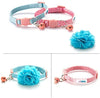 BR BLUERISE - 2 collares para gato con correa ajustable para gato, con hebilla de seguridad, color rojo y azul - BESTMASCOTA.COM