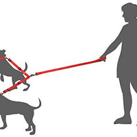 DCbark - Correa doble para perro sin enredos, longitud ajustable sin enredos, con asa acolchada cómoda para 2 perros - BESTMASCOTA.COM