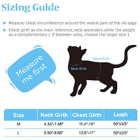 PUPTECK X-Figura Arnés para gato con correa – cuello ajustable a prueba de escape, chaqueta de malla para gatitos, cachorros - BESTMASCOTA.COM