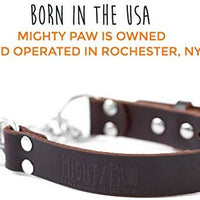 Mighty Paw Collar de cuero para entrenamiento, collar Martingale, cadena de acero inoxidable, calidad premium, collar de cadena limitada - BESTMASCOTA.COM