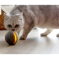 Pelota de mimbre de animal, 100% automática e interactiva para mantener a tus perros y gatos a la compañía todo el día, la alegría de tu mascota cuando estás solo en casa. - BESTMASCOTA.COM