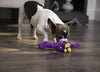 goDog Just for Me Bruto with Chew Guard Technology Plush Dog Toy, Purple - BESTMASCOTA.COM